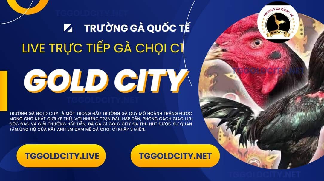 Trường gà Quốc Tế Gold City