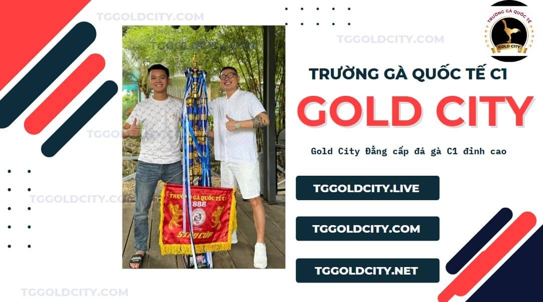 Trang web Gold City