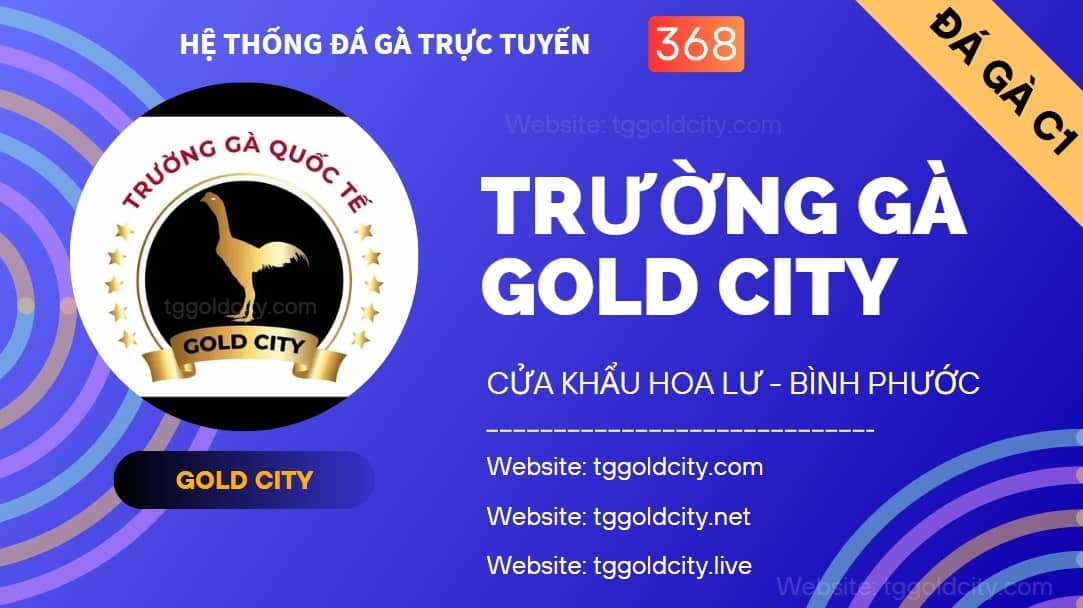 ĐÁNH GIÁ VỀ TRƯỜNG GÀ Gold City