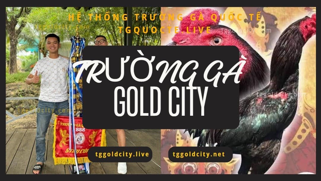 FAQ TRƯỜNG GÀ GOLD CITY