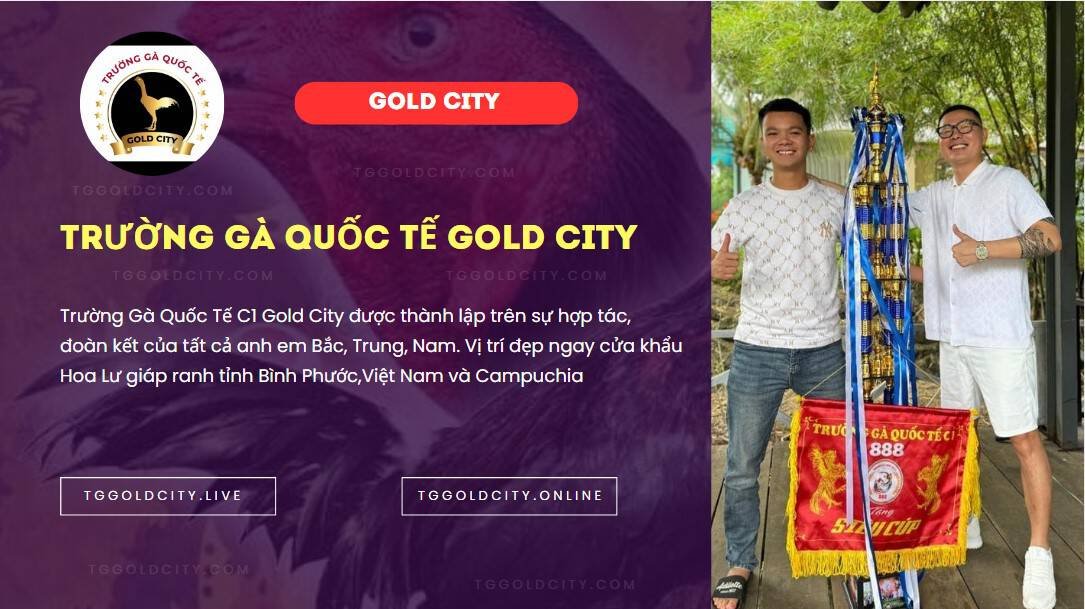 Theo Dõi Trực Tiếp Gà Chọi C1 GOLD CITY